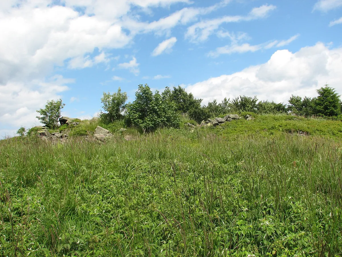 10 Best Things to Do in Kamenná čtvrť Bohemian District