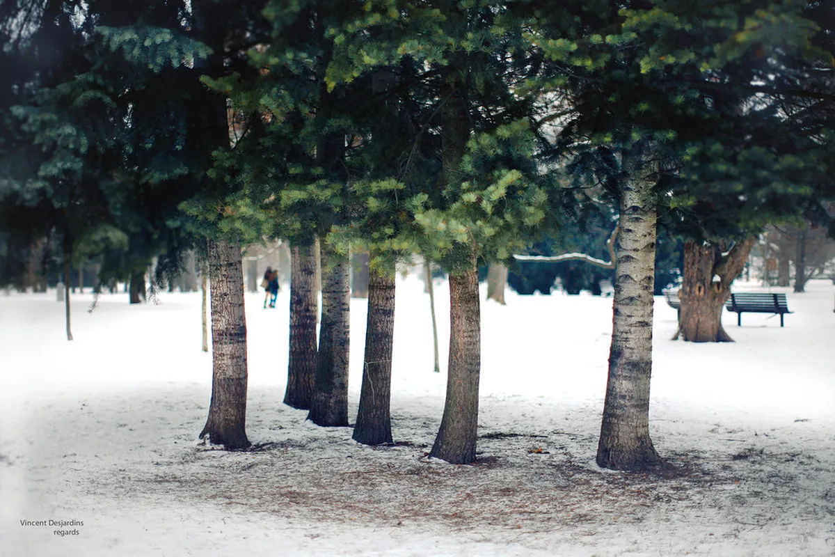 11 Best Lužánky Park Picnic and Chill Spots in Brno (2026)