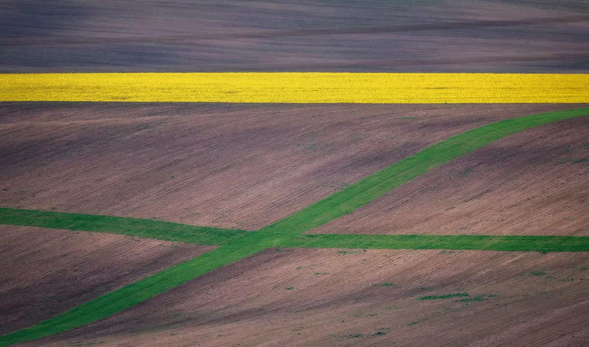 Best Moravian Wine Tasting in Brno: Top 10 Spots