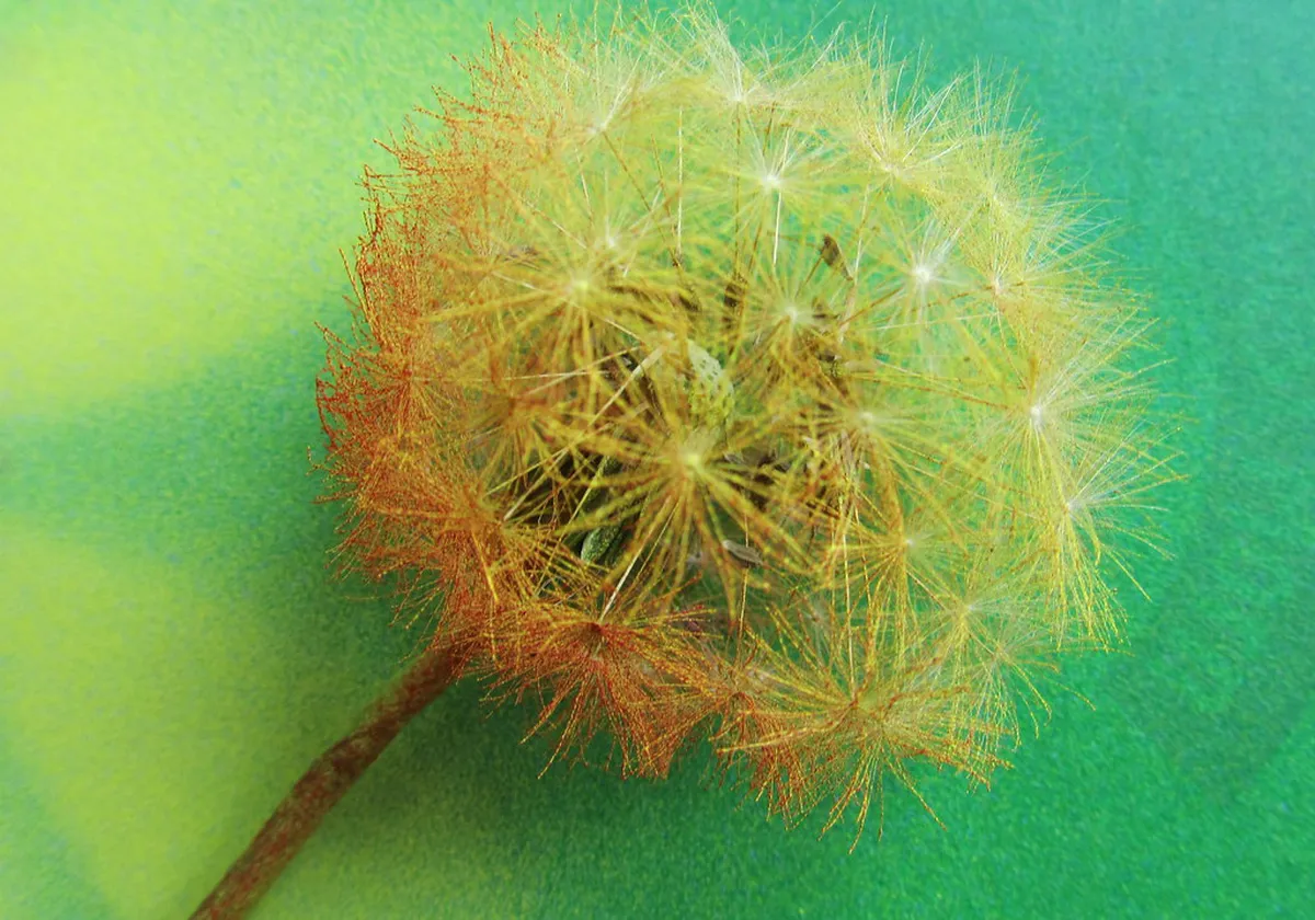 Quirky Brno Statues Walking Route: A Fun 1-Day Guide