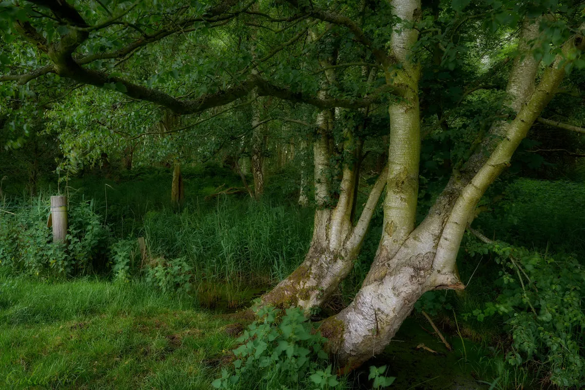 10 Best Secluded Spots at Brno Dam for Quiet Getaways