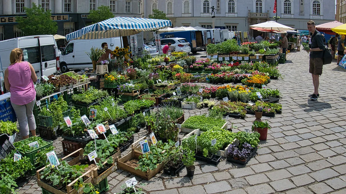 Zelný Trh Vegetable Market Guide: 10 Best Things to Do