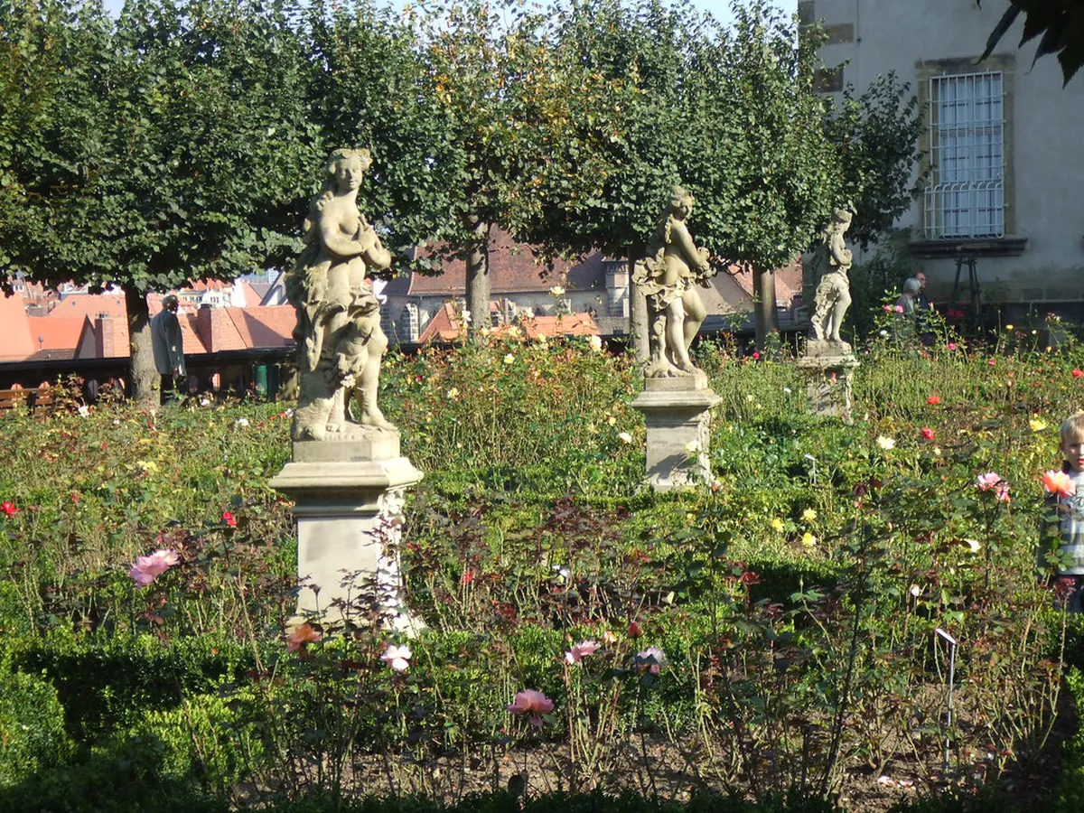 Five-Petalled Rose Festival Guide: Top 10 Things to Do