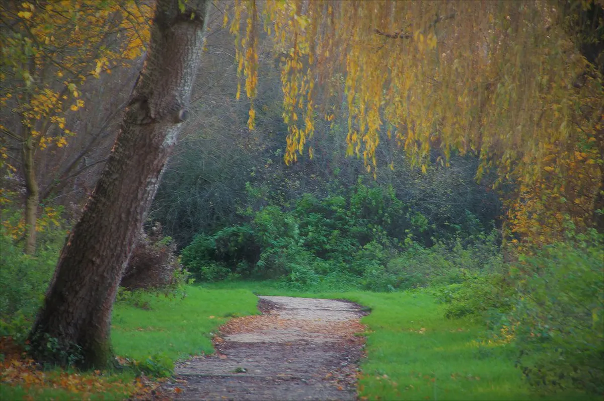 12 Best Secluded Riverside Spots Vltava in Český Krumlov