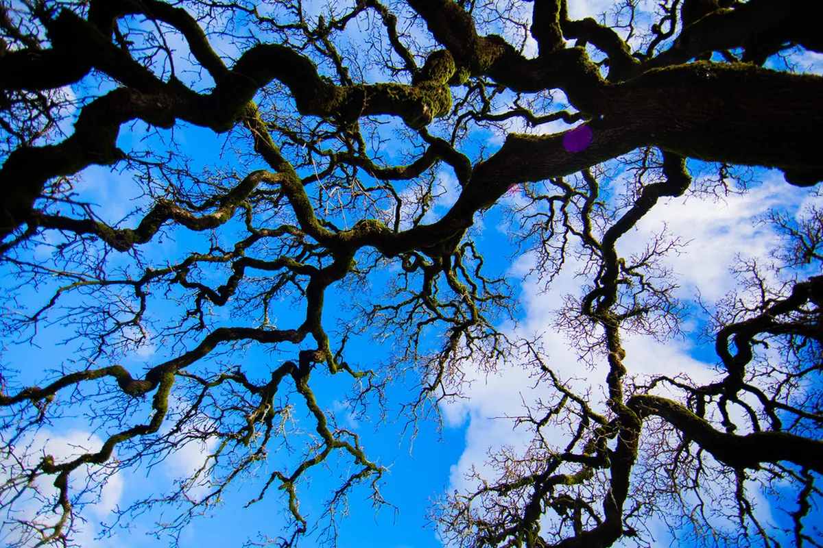 10 Best Undiscovered Viewpoints in Český Krumlov (2026)