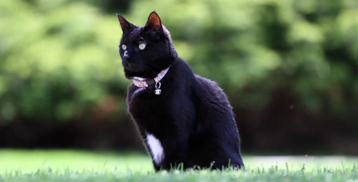 Why Did Egon Schiele Live in Český Krumlov? (Top 10 Spots)