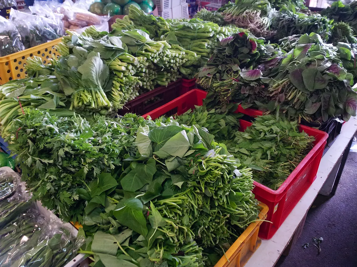 10 Best Authentic Czech Food Karlovy Vary Restaurants