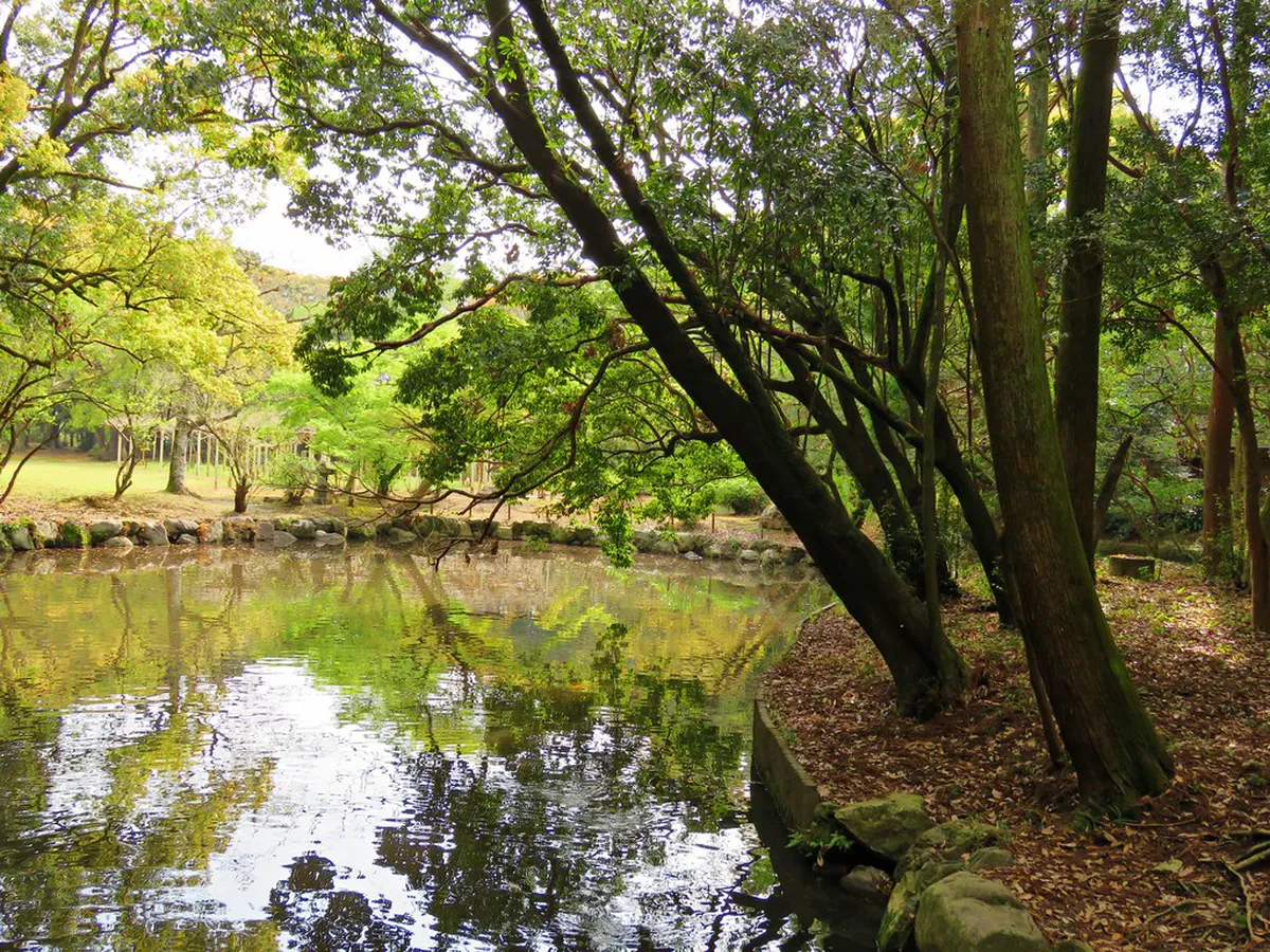 Is the Japanese Garden Parkhotel Richmond Worth Visiting?