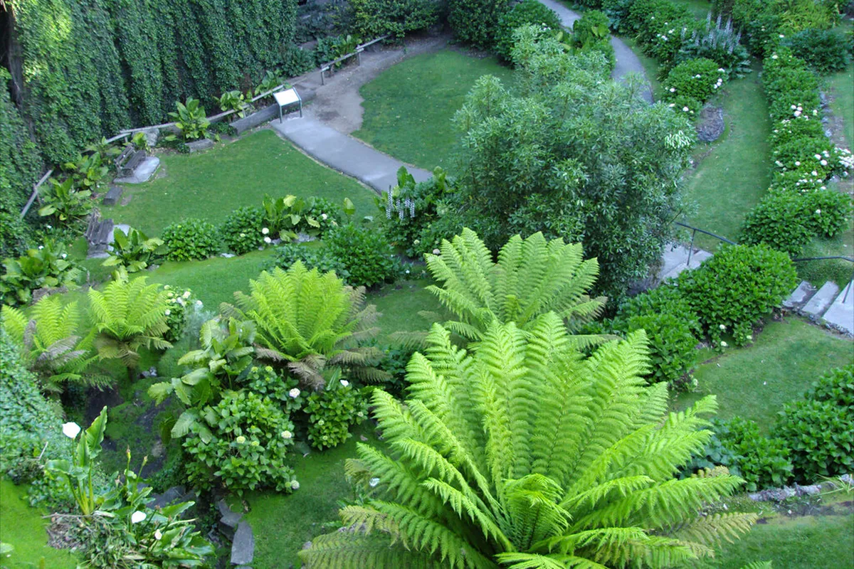 Temperature of Different Colonnade Springs Explained