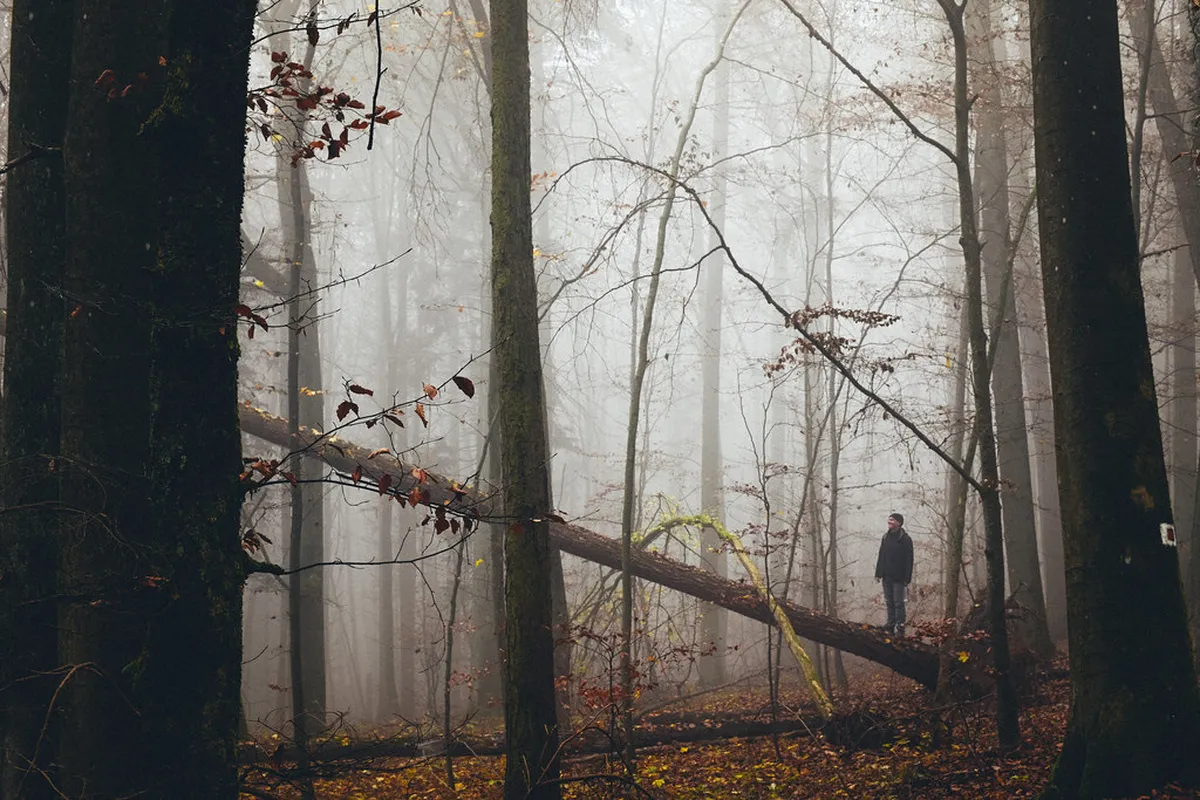 Exploring Olomouc Astronomical Clock Socialist Details