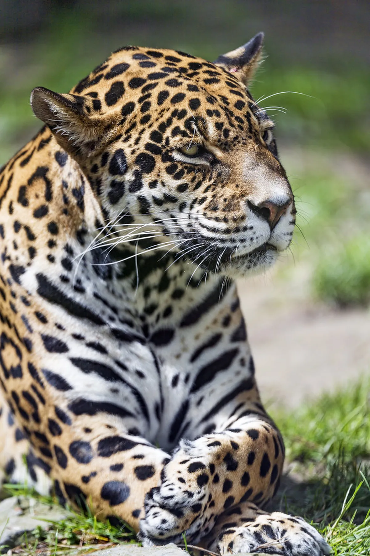 Relaxing in Olomouc Parks and Gardens: 10 Best Spots