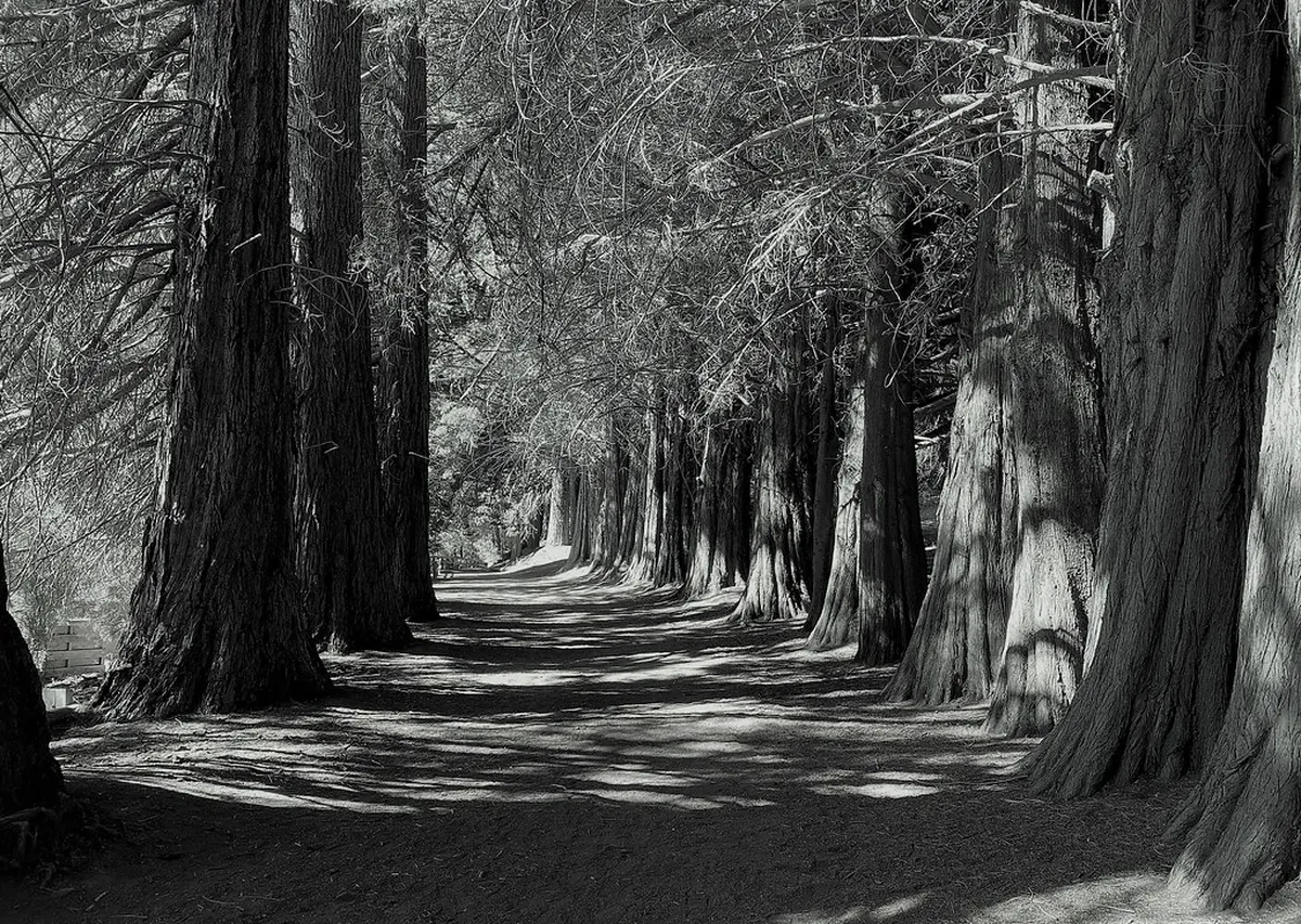 10 Best Secret Viewpoints in Olomouc City Centre