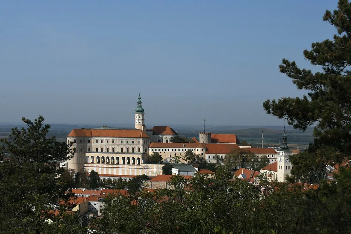 10 Best Svatý Kopeček Zoo and Forest Trails Activities