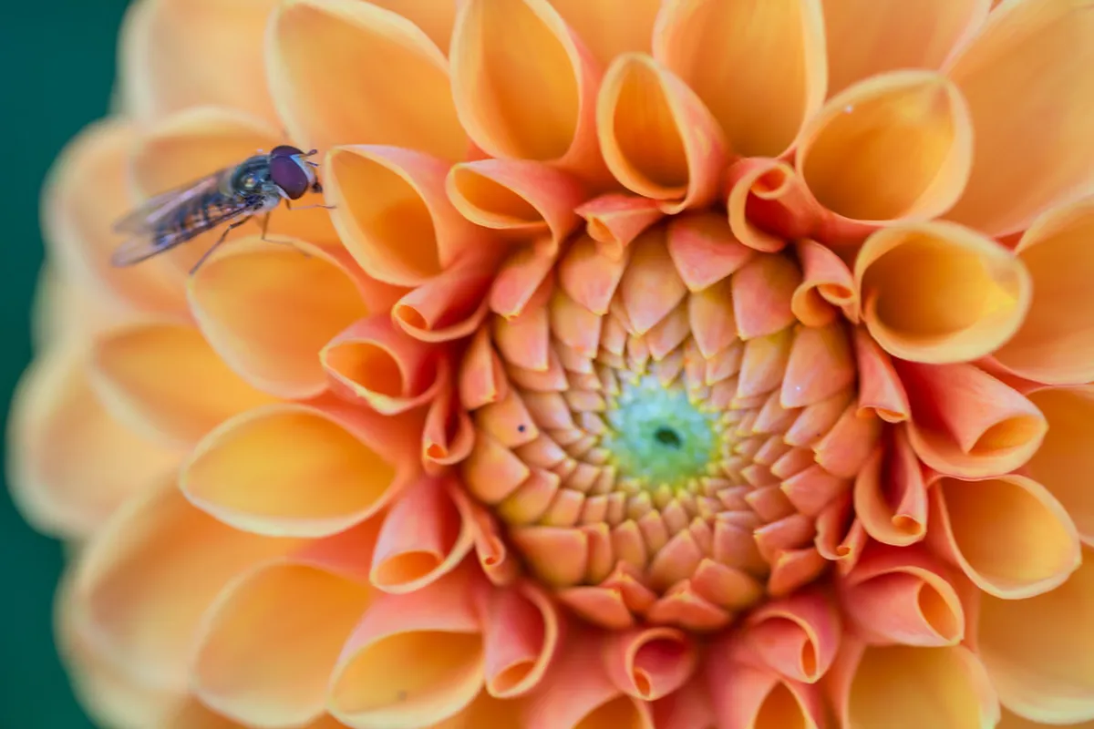 Visiting Hradisko Monastery Olomouc: 10 Best Highlights