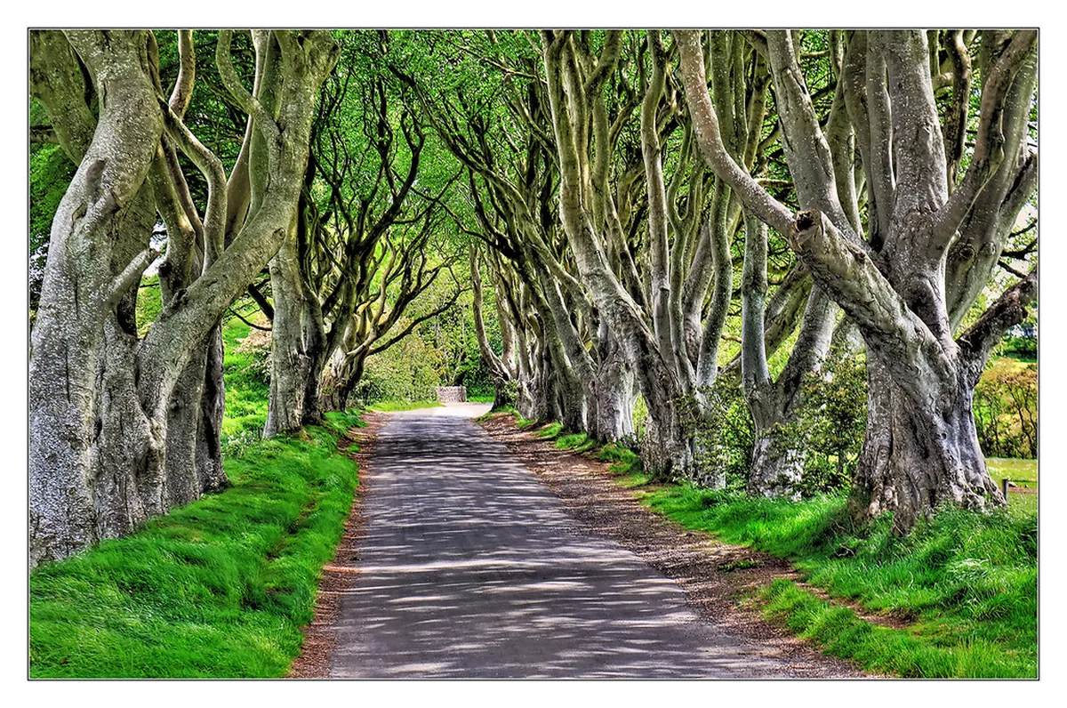 9 Ghost Legends of Radyně Castle Plzeň Region (2026)