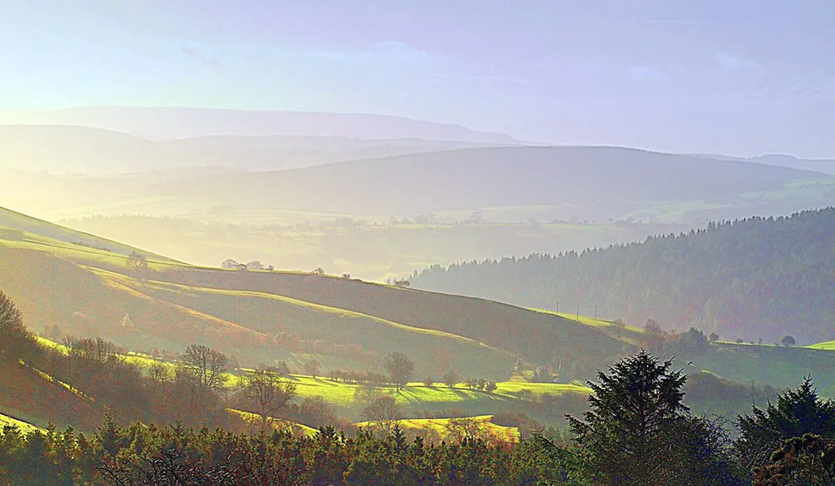 9 Best Hidden Microbreweries in Plzeň (2026 Guide)