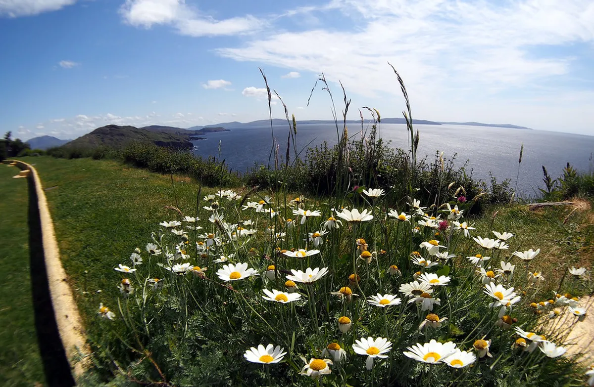 Meditation Garden Plzeň Visiting Info: A Local Guide