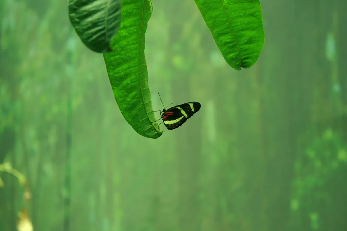 12 Best Non-Touristy Neighborhoods in Prague for 2026