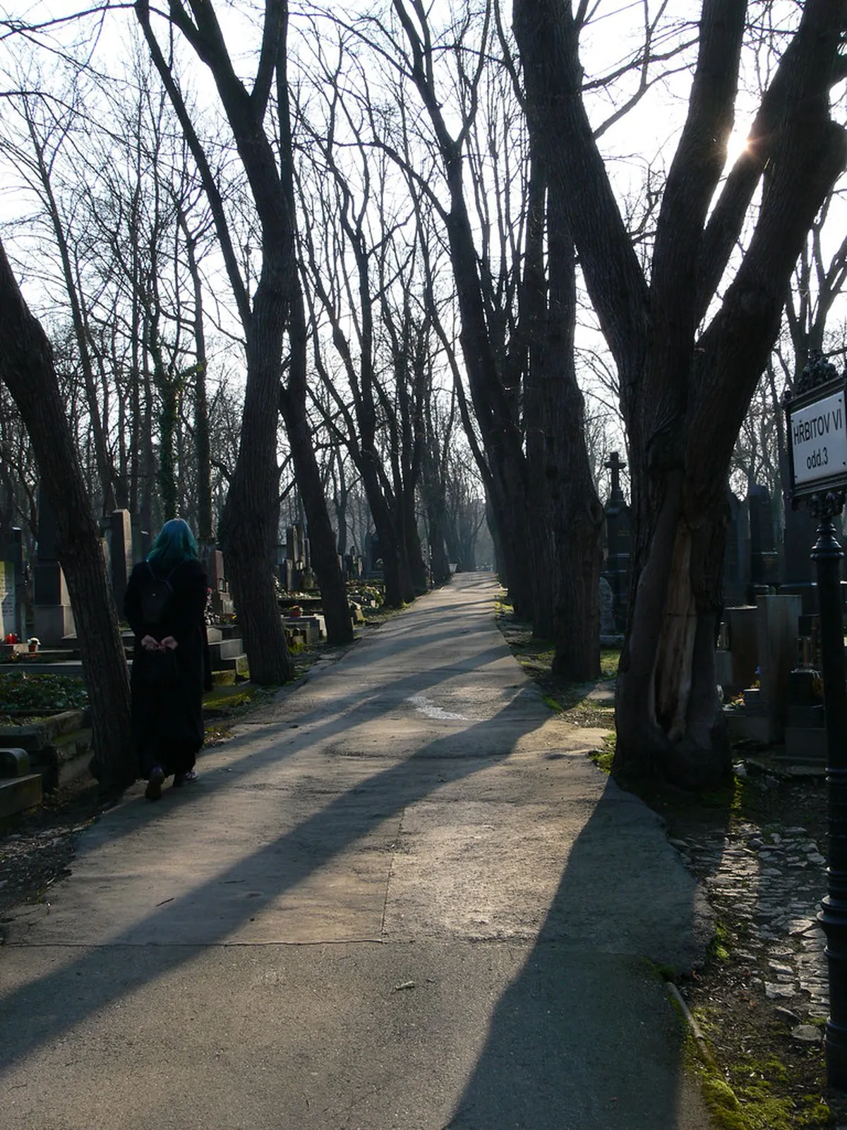 Olšany Cemetery Walking Guide: Prague's Best Sights